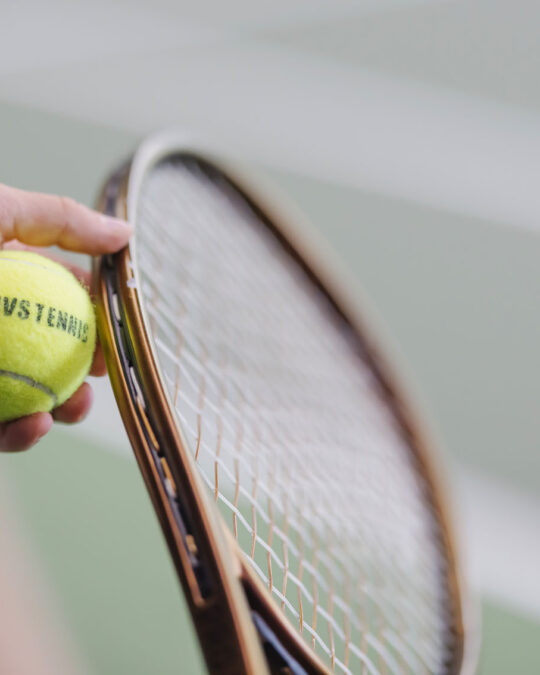 Hallisarja, Jermo Cup